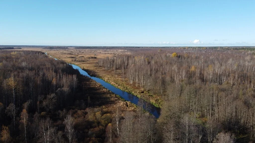 Продажа участка, Барышево, Выборгский район - Фото 5