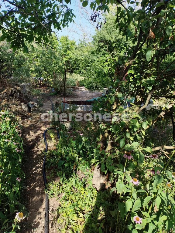 Продажа участка, Севастополь, территория СТ Сапун-гора - Фото 3