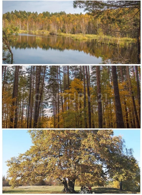 Продажа участка, Преображеновка, Добровский район, Преображеновка с. - Фото 6
