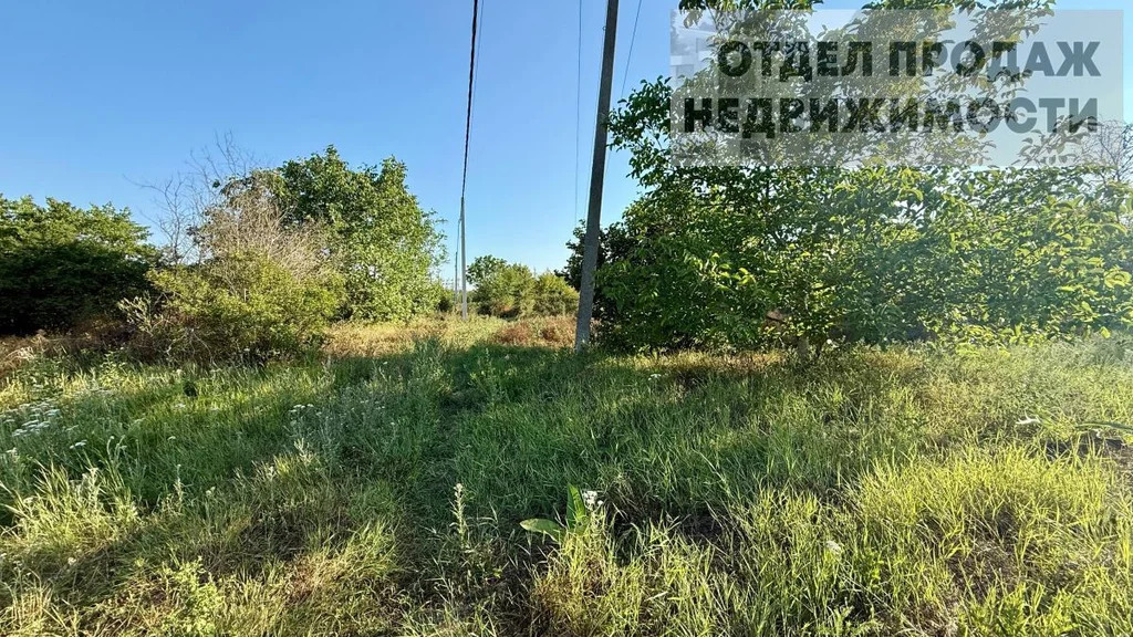 Участок - Фото 5