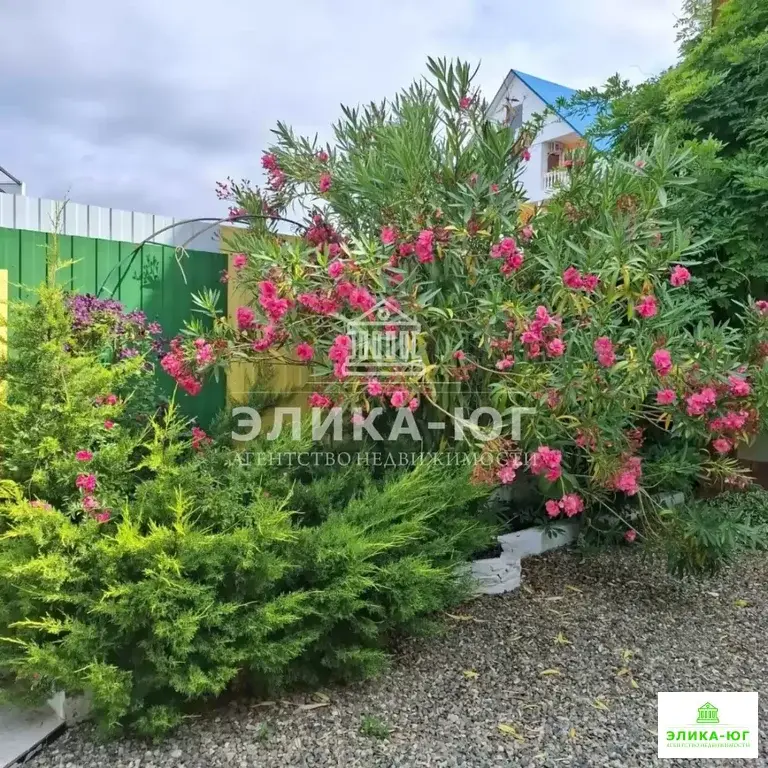 Продажа готового бизнеса, Лермонтово, Туапсинский район, Михаила ... - Фото 14
