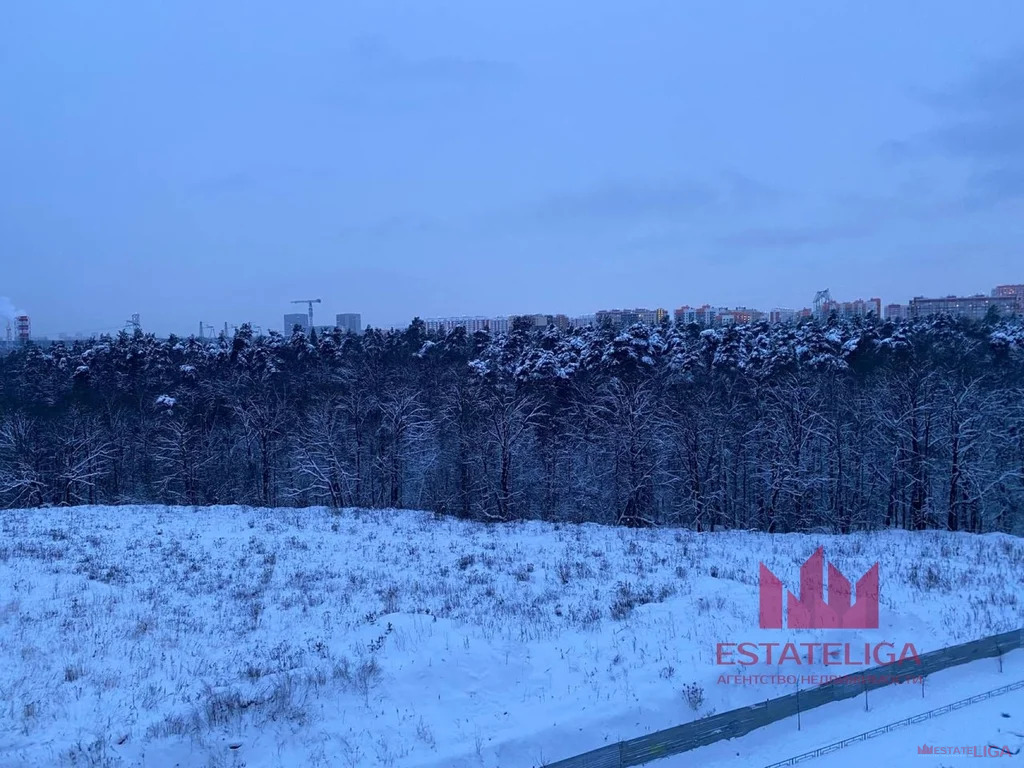 Продажа квартиры, Лопатино, Ленинский район, Сухановская улица - Фото 11