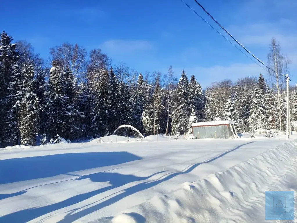 12 соток в Шапкино, СНТ Звездочка - Фото 1