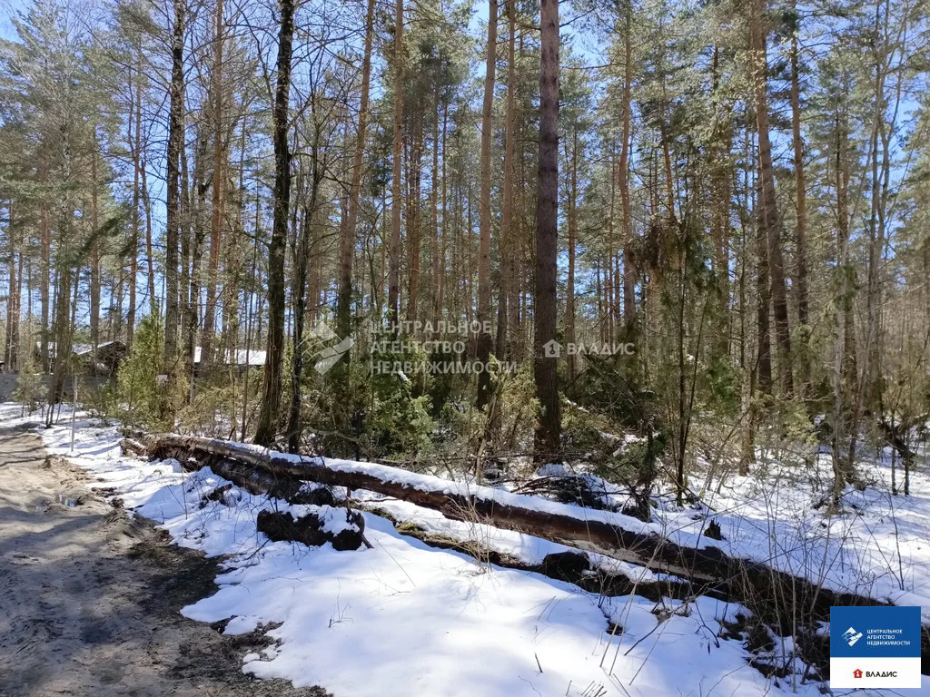 Продажа участка, Рязанский район, садоводческое товарищество Лесной - Фото 2