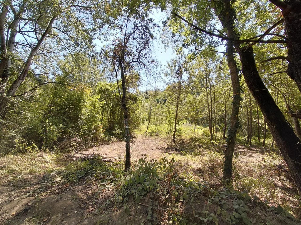 Продажа участка, Ставропольская, Северский район - Фото 5