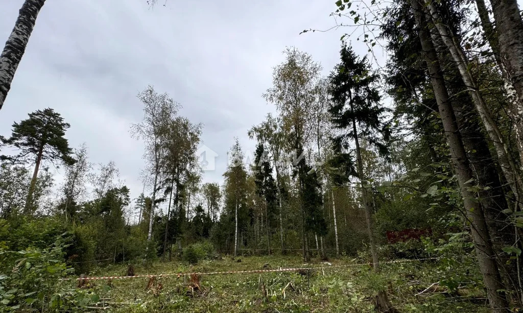 городской округ Солнечногорск, село Алабушево, микрорайон Дедёшино, ... - Фото 7