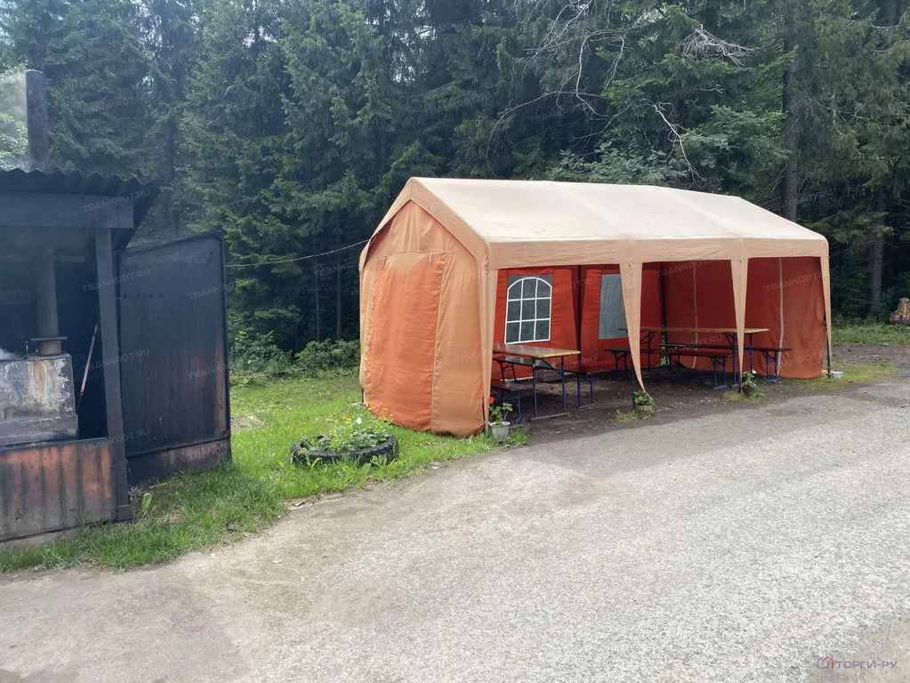 Продажа ПСН, Нытвенский район - Фото 6