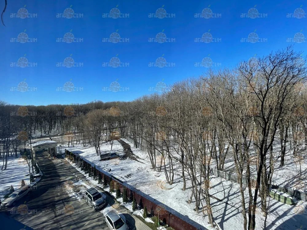 Студия - Фото 13