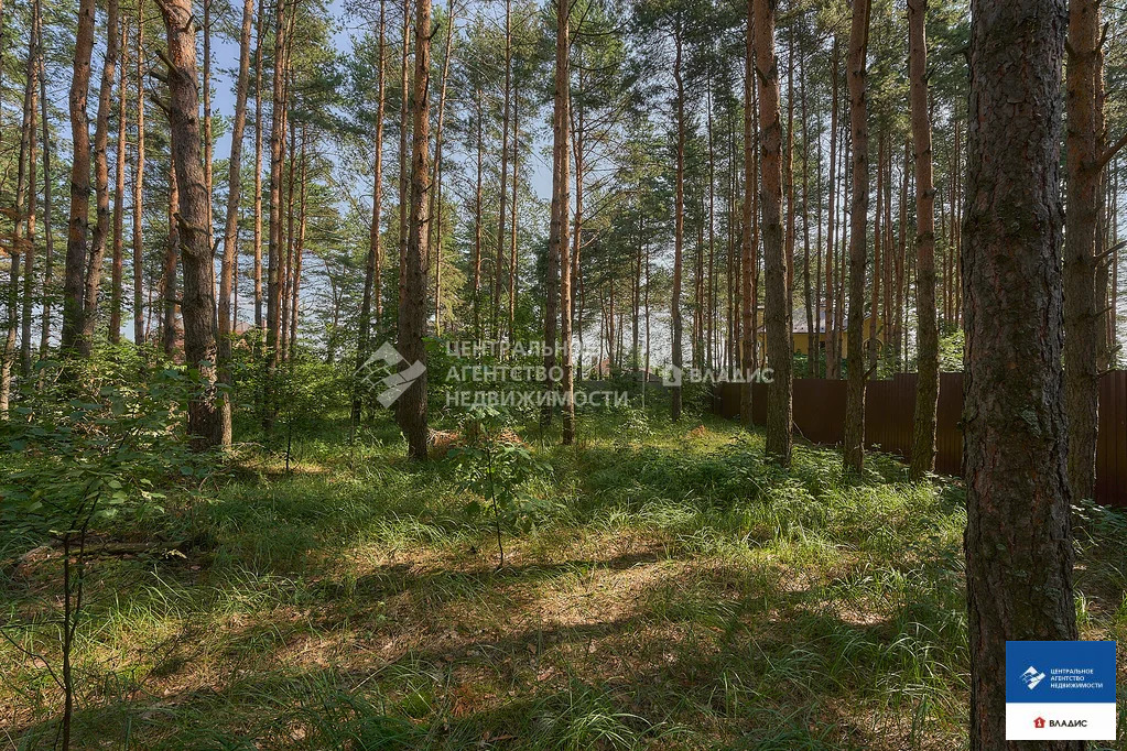 Продажа участка, Алеканово, Рязанский район - Фото 5