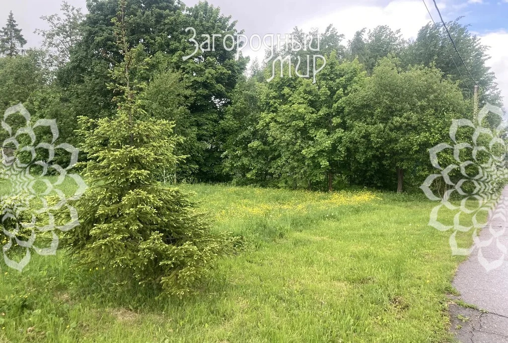 Продам участок, Ярославское шоссе, 38 км от МКАД - Фото 5
