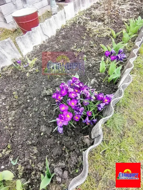 Дача СНТ-4, отличная - Фото 15