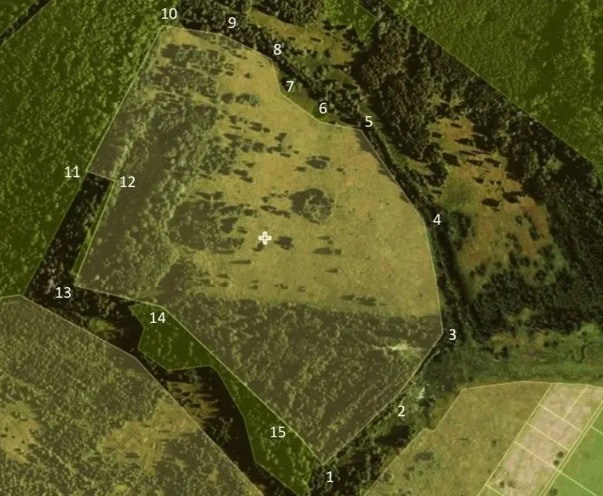 Продаю участок 25,8 га в Волоколамске - Фото 2