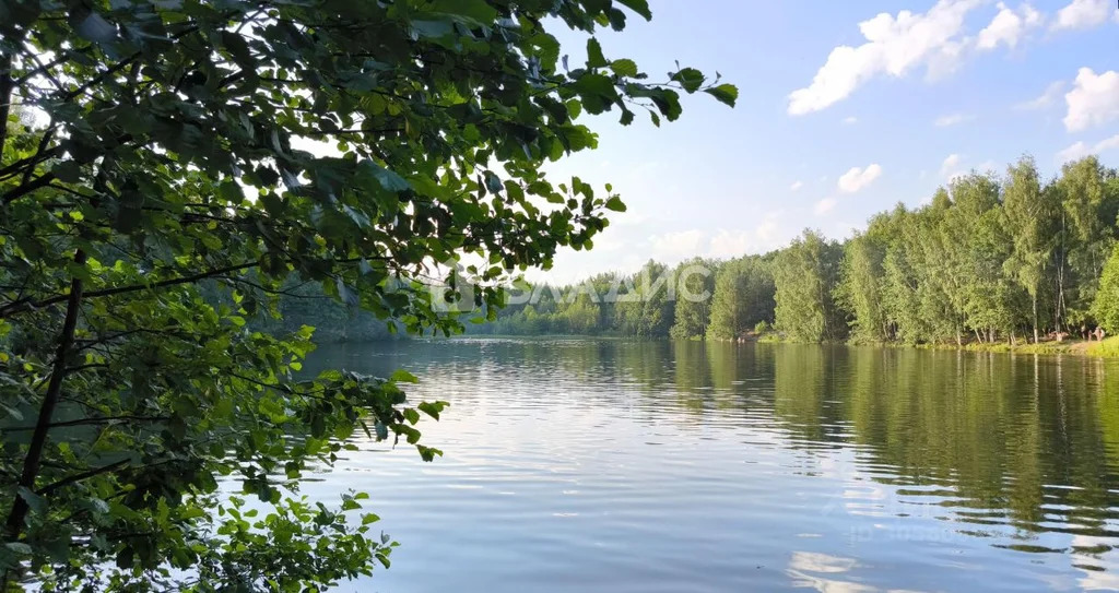 Богородский городской округ, деревня Марьино, Каменская улица,  земля ... - Фото 0