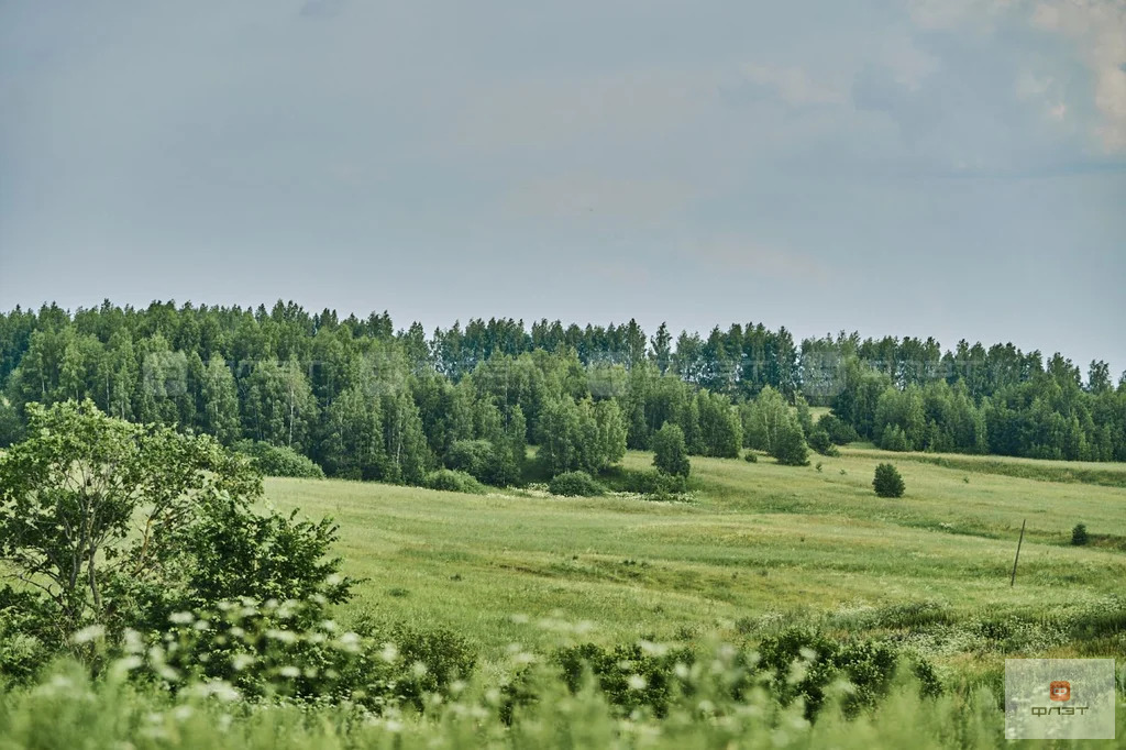 Продажа участка, Среднее Девятово, Лаишевский район, дом 102 - Фото 3