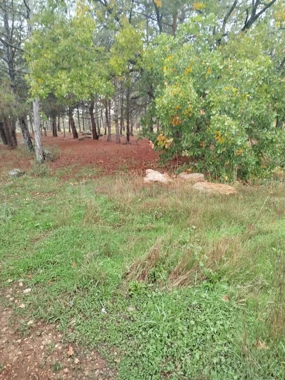 Продажа участка, Севастополь, территория СТ Дружба - Фото 2