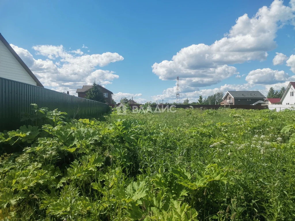 городской округ Истра, деревня Рубцово,  земля на продажу - Фото 0