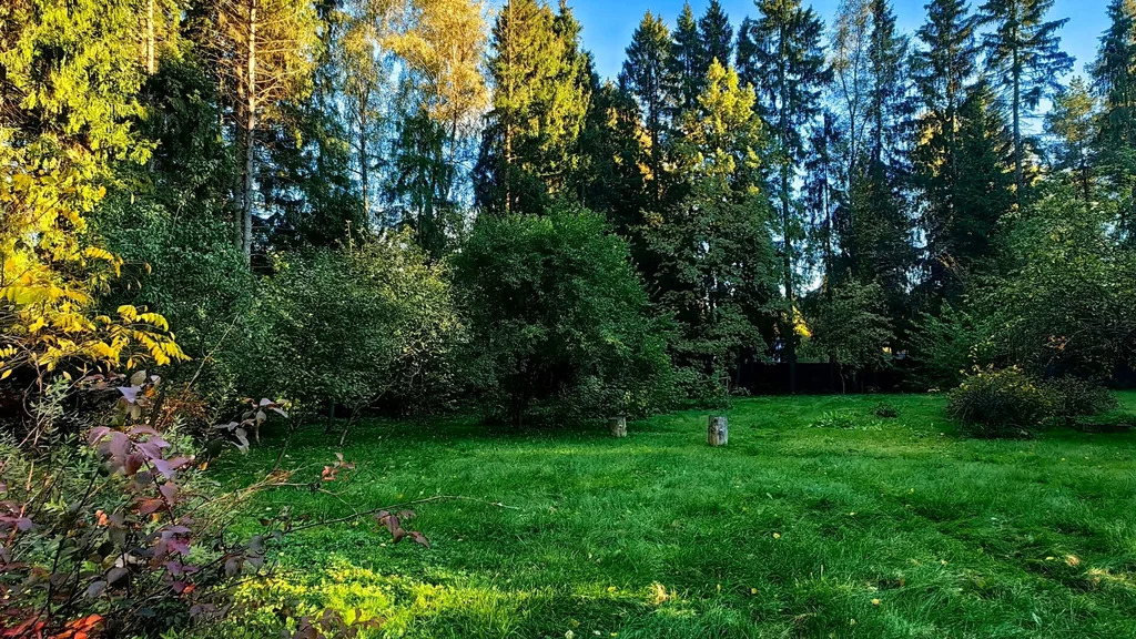 Продажа участка, Апрелевка, Наро-Фоминский район, ул. Кутузова - Фото 13