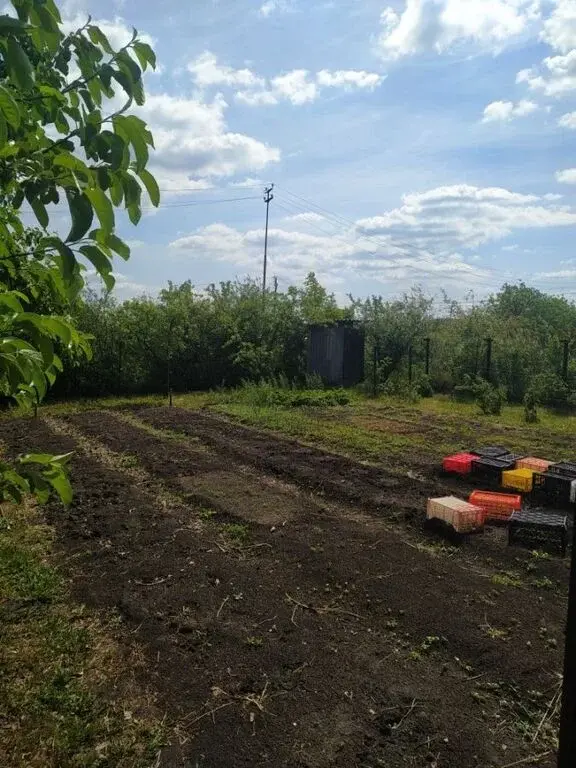 Сдам дом длительно, в селе Чемодановка (Бессоновский район), недорого. - Фото 3