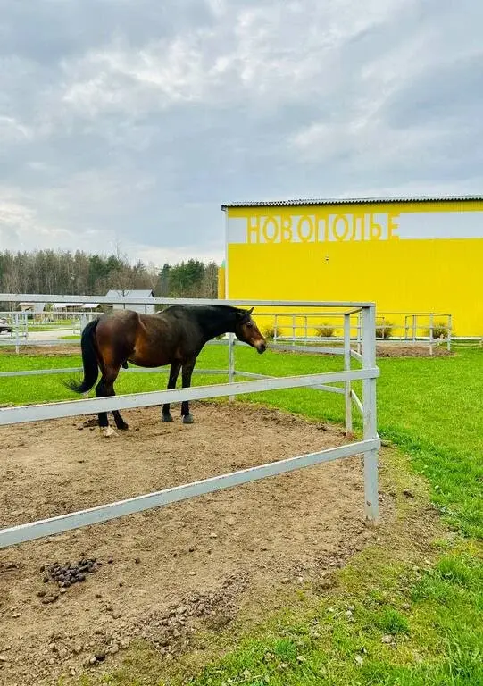 Участок 10 соток - Фото 5