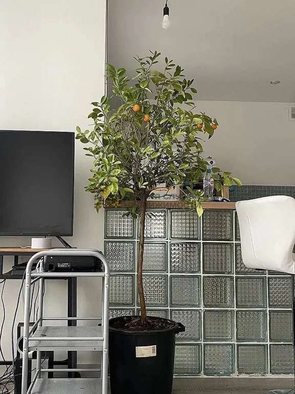 Аренда квартиры, Уфа, Давлеткильдеева б-р. - Фото 2