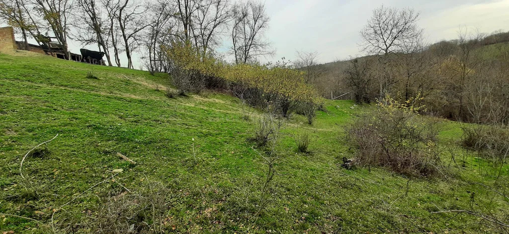 Продажа участка, Богатырь, Бахчисарайский район, ул. Шевченко - Фото 13