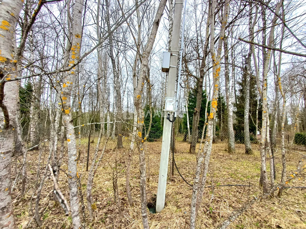 Троицкий административный округ, СНТ Лира, квартал № 410, квартал № ... - Фото 26