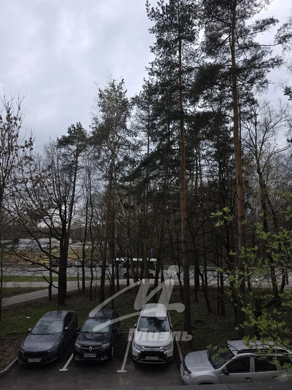 Продажа квартиры, м. Новогиреево, Свободный пр-кт. - Фото 2