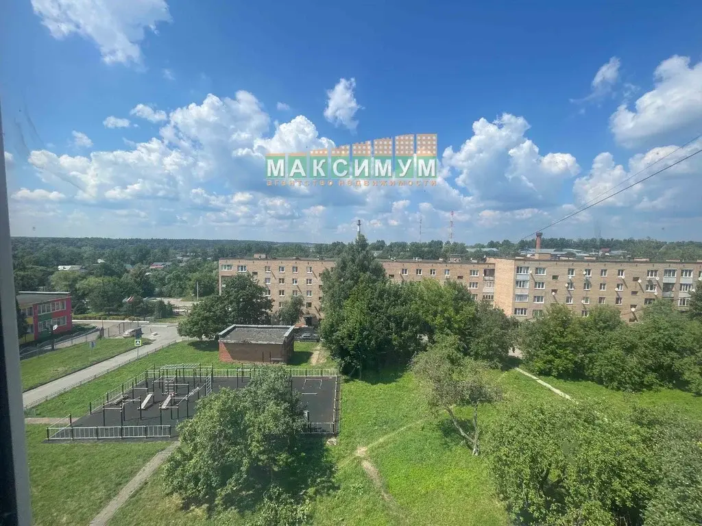 2 комнатная квартира в с. Семеновское Ступинского городского округа - Фото 13