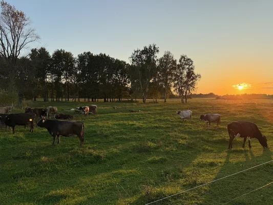 Продам дом, Нагорная ул, 141 , Сартаково д, 20 км от города - Фото 35