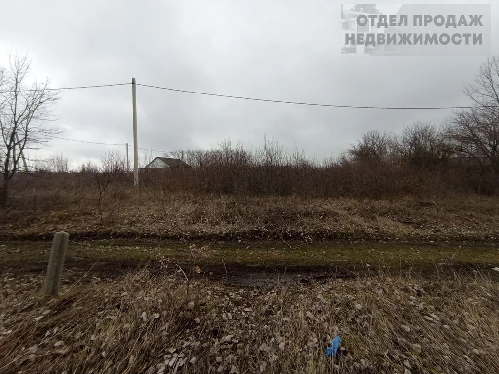 Участок - Фото 3