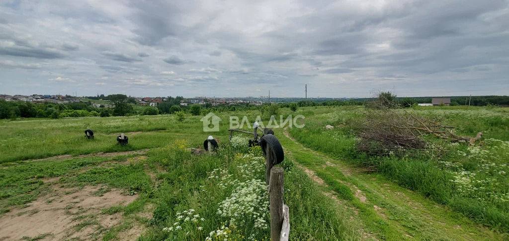 Суздальский район, деревня Багриново,  земля на продажу - Фото 8