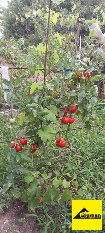 Продажа участка, Ейск, Ейский район, Восход снт. - Фото 3