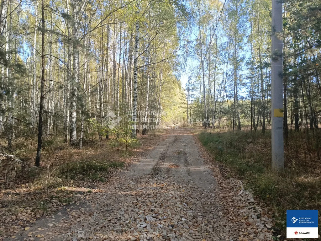 Продажа участка, Спасский район - Фото 3