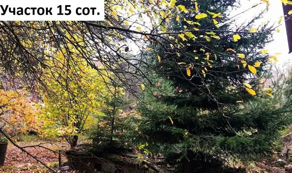 Продажа участка 15.0 сот. ул. Фурманова, 19, Мытищи, Московская ... - Фото 6