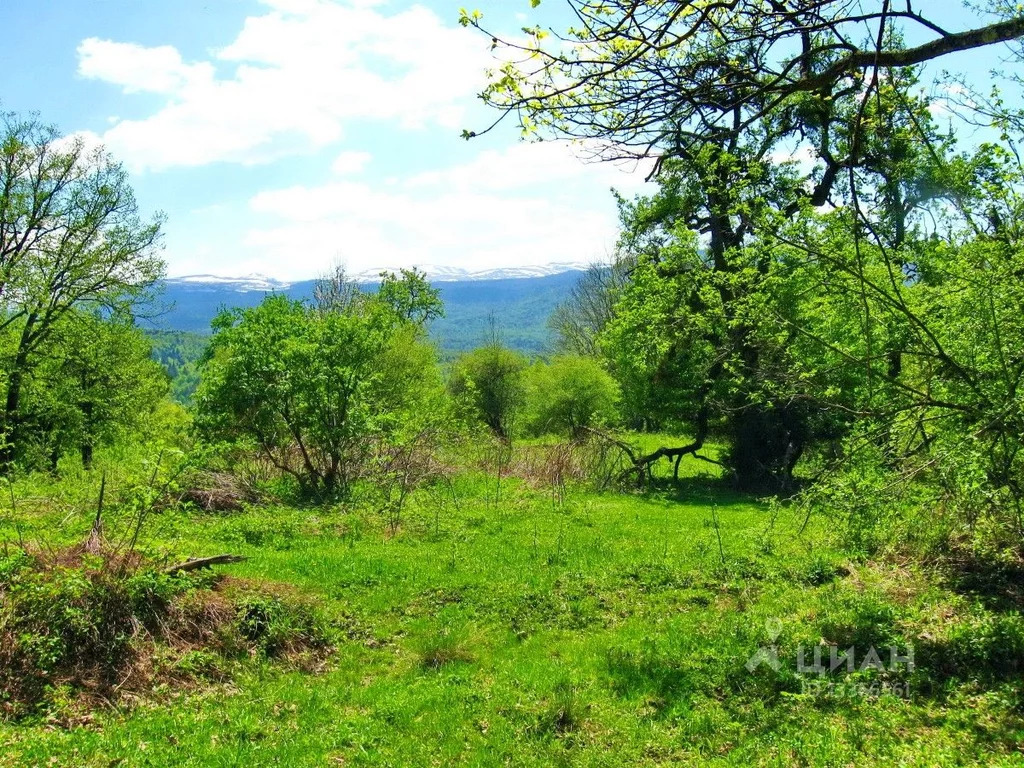 Апшеронский район фото хутор спасов