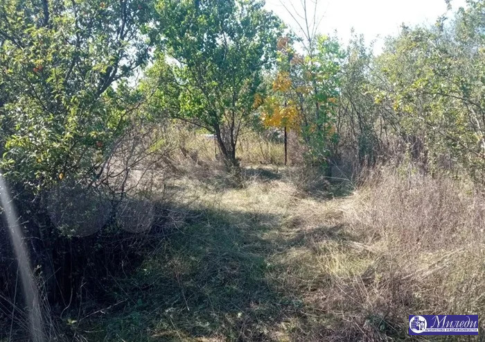 Продажа участка, Батайск, ул. 24 проезд улица - Фото 3