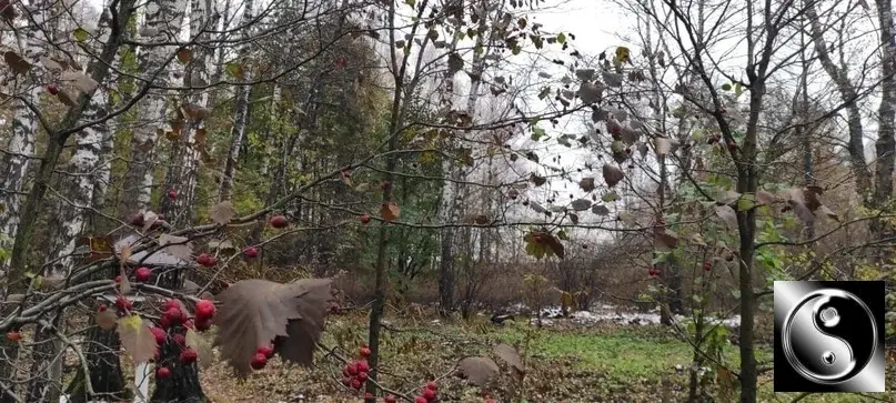 2-к. квартира, 60 м, 3/12 эт.Moсква, Яpocлавское шоcсe, 8к2 С - Фото 33