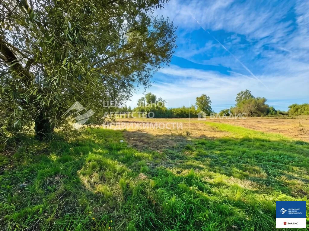Продажа участка, Панино, Спасский район - Фото 1