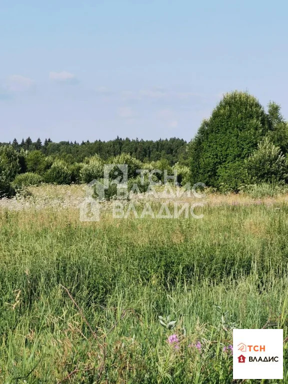 Можайский городской округ, деревня Цыплино,  земля на продажу - Фото 11