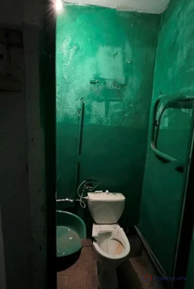 Продажа торгового помещения, Благовещенск, Благовещенский район, ул. ... - Фото 8