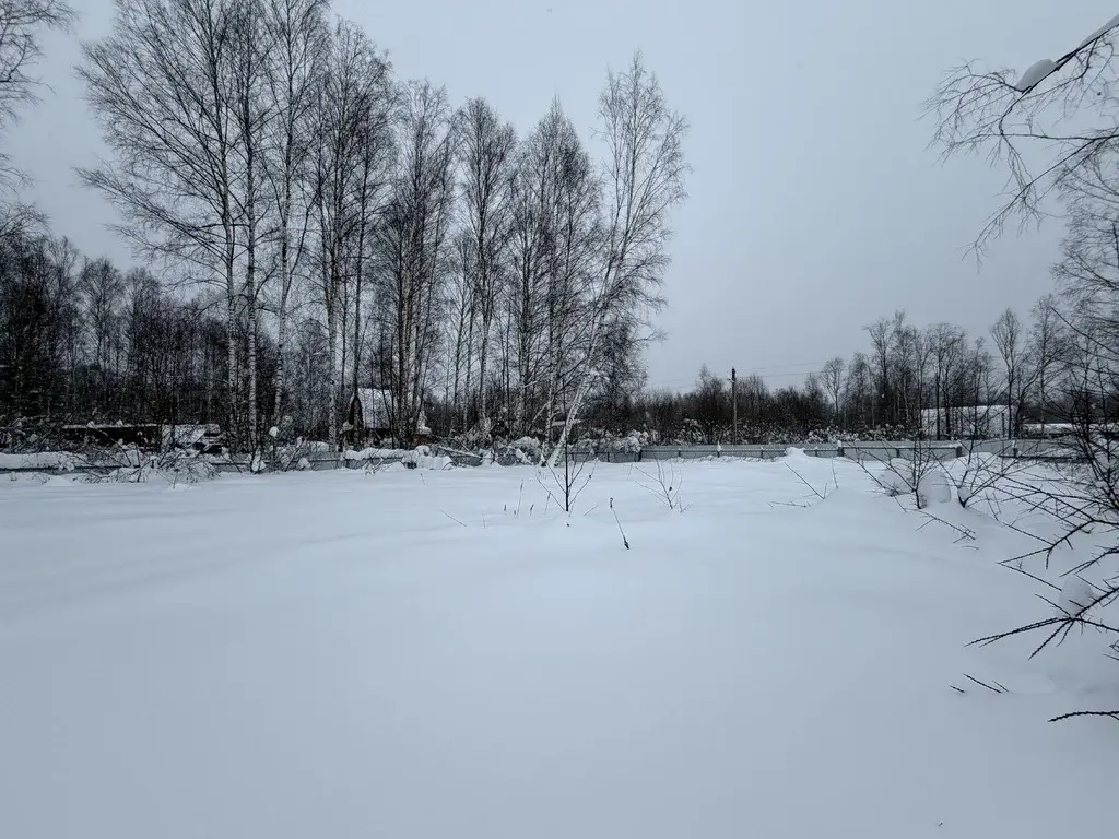 Дача в СНТ Росинка-5 - Фото 7