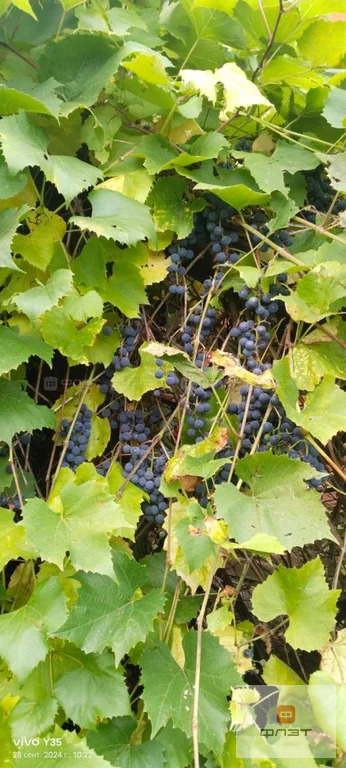 Продажа дома, Шеланга, Верхнеуслонский район, ул. Набережная - Фото 29