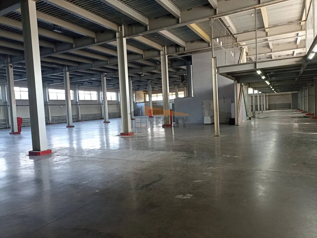 Аренда склада, Старая Купавна, Богородский г. о., Дорожная ул. - Фото 5