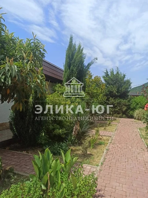 Продажа готового бизнеса, Ольгинка, Туапсинский район, ул. Солнечная - Фото 19