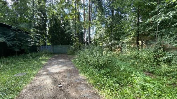 Участок в Московская область, Одинцовский городской округ, пос. Гор... - Фото 4