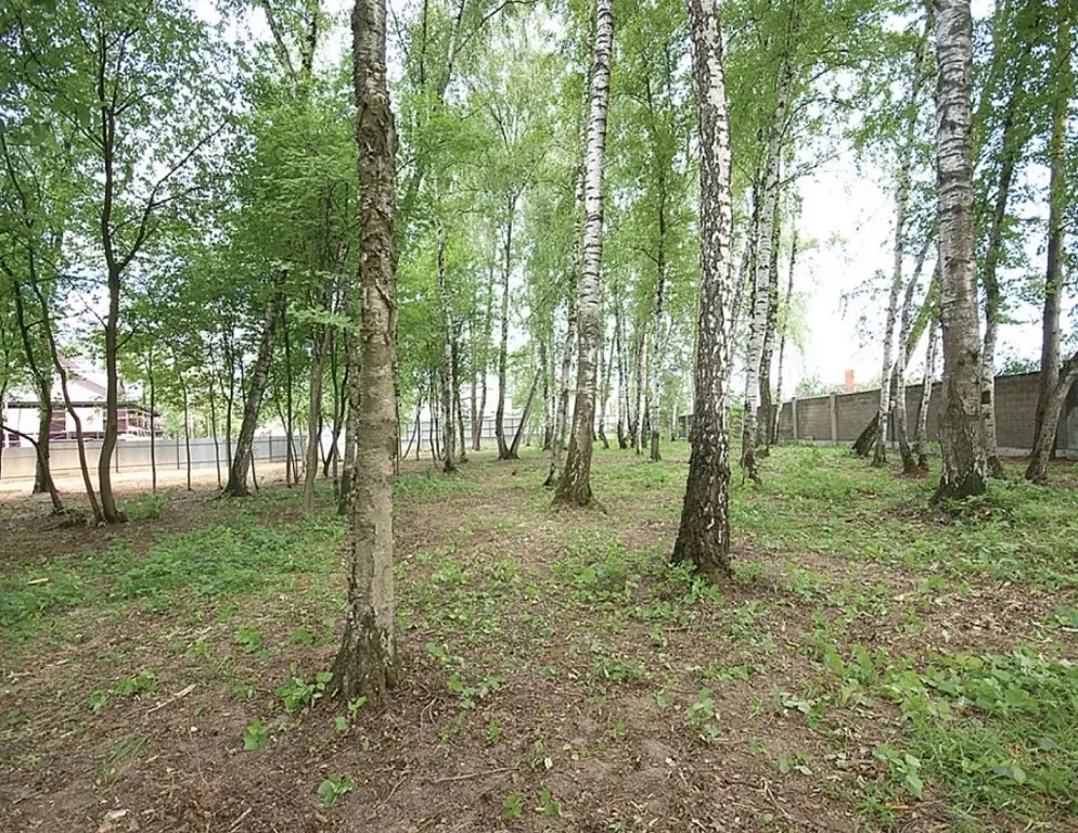 Лесной участок ИЖС в поселке на Новорижском ш. 9 км от МКАД - Фото 3