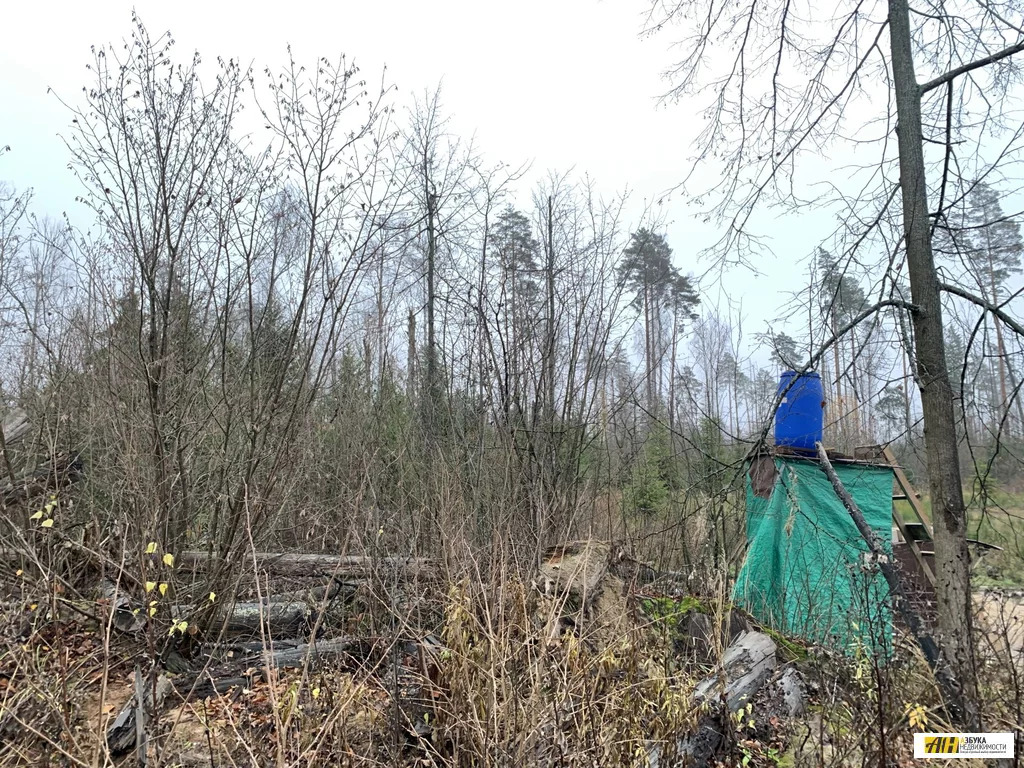 Мамоново Одинцовский Район Купить