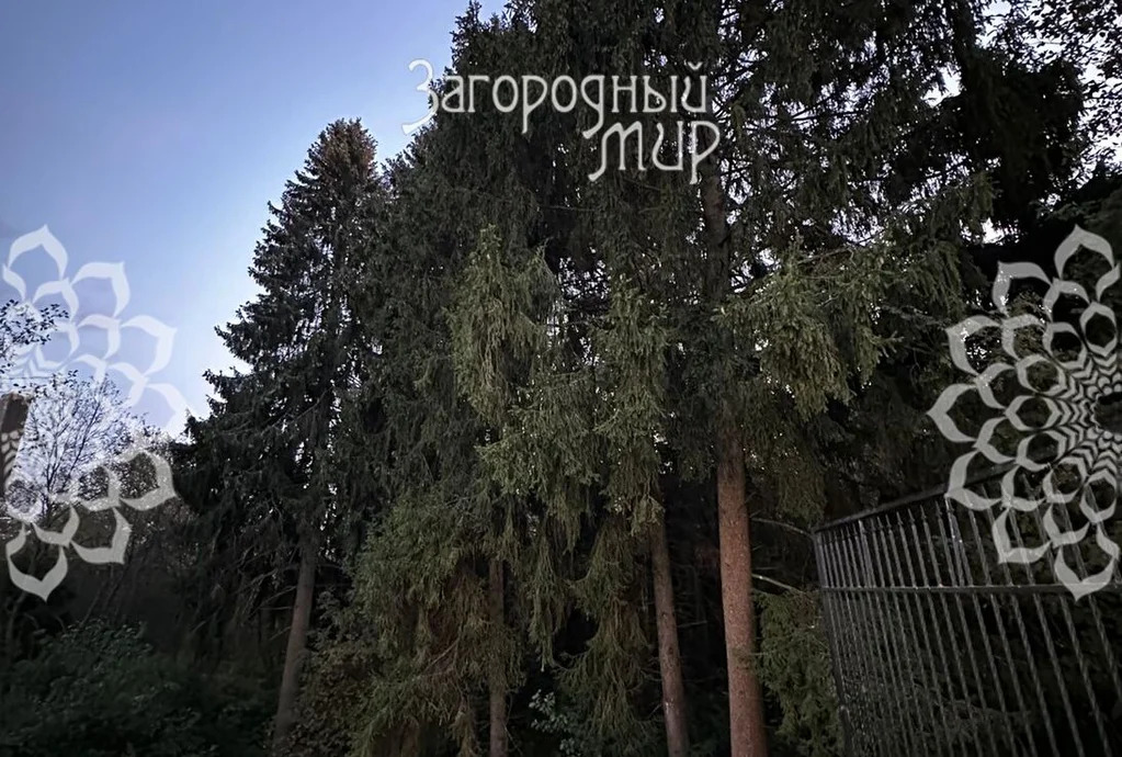 Продам дом, Волоколамское шоссе, 35 км от МКАД - Фото 11