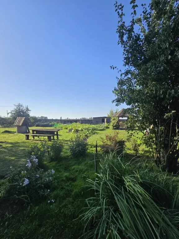 Продаю дом в д. Крутицы - Фото 31