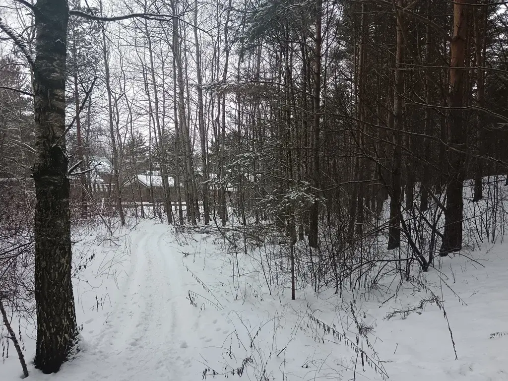 Продам земельный участок 19 соток в д.Чиверево, г.о. Мытищи - Фото 4